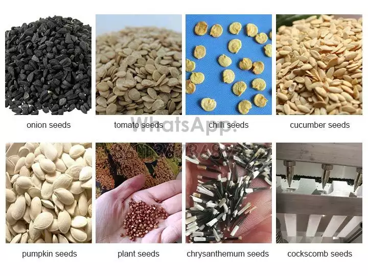 Semillas parciales aplicables para sembradora de vivero.