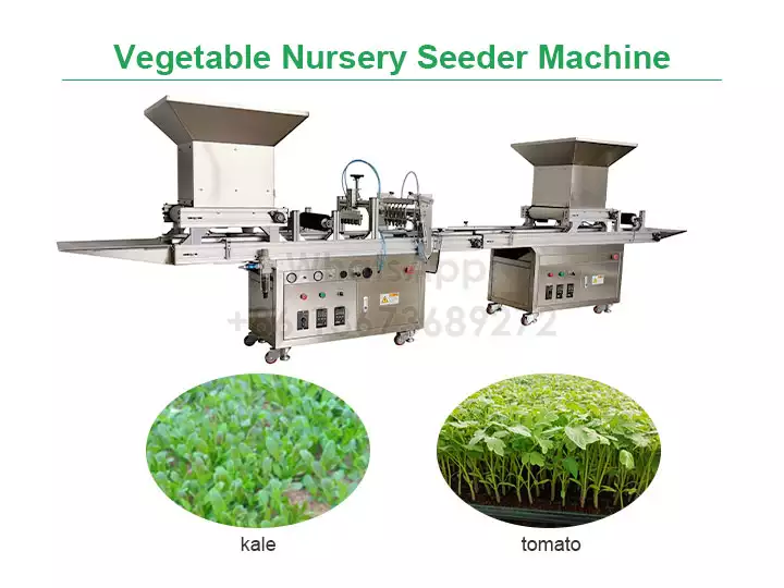 Vegetable Nursery Seeder Machine  Automatic Vegetable Sowing Machine