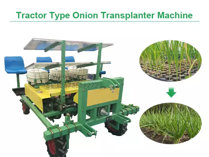 Máquina transplantadora de cebola tipo trator