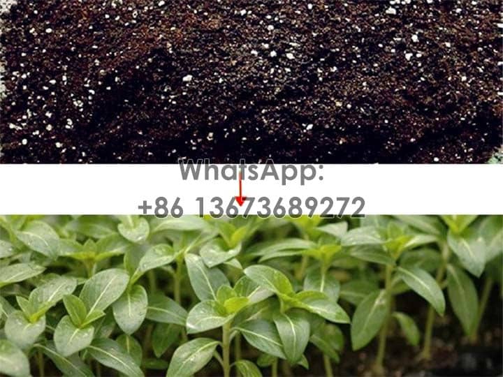 avantages-de-la-matrice-du-sol-pour-les-semis-de-pepiniere