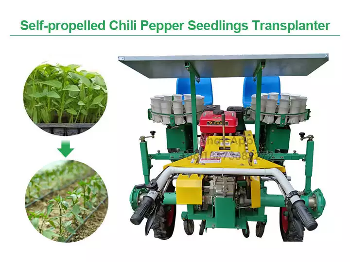 Self-propelled chili pepper seedlings transplanter