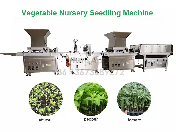 Machine à semis de pépinière de légumes