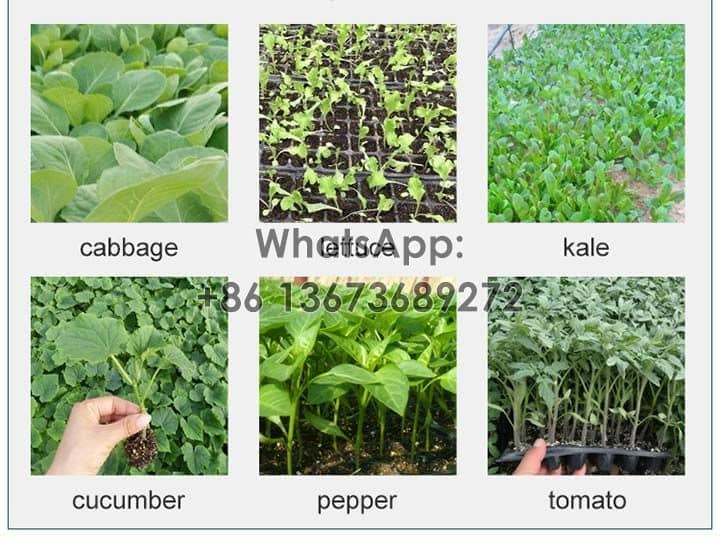 Applicable vegetables-pepper transplanter