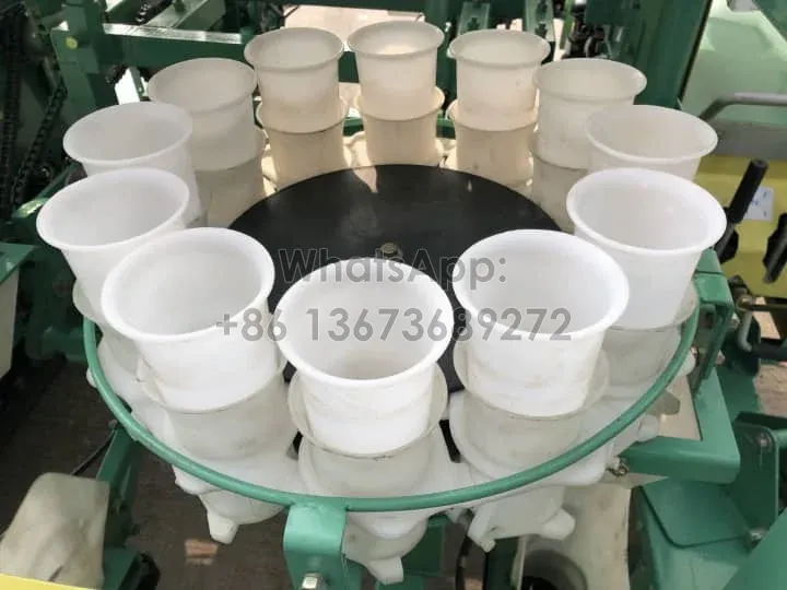 vasos de plántulas para plantar cebollas