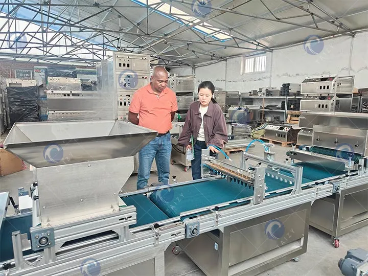 Taizy seedling machine factory visit