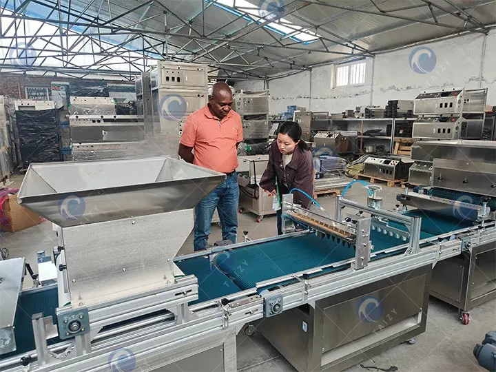 deep understanding processing of Taizy nursery seeding machine for sale