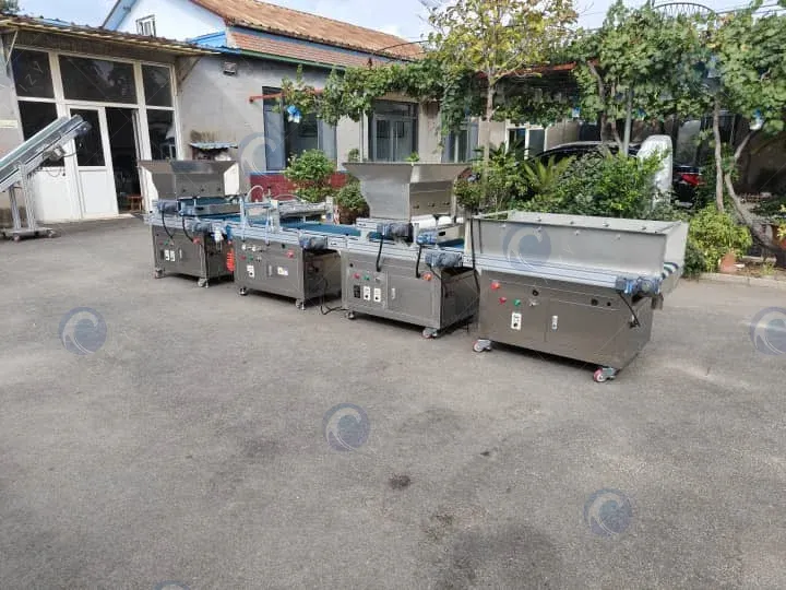automatic tray seeding machine with watering