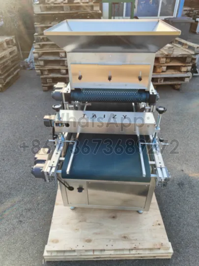 Taizy nursery tray seeding machine packing