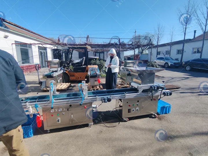 Taizy seedling equipment