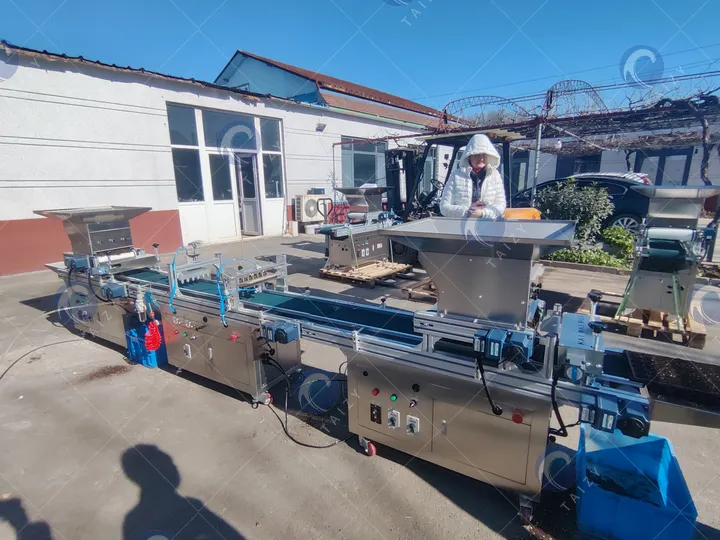 automatic nursery tray seedling machine