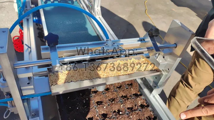 seed sowing test