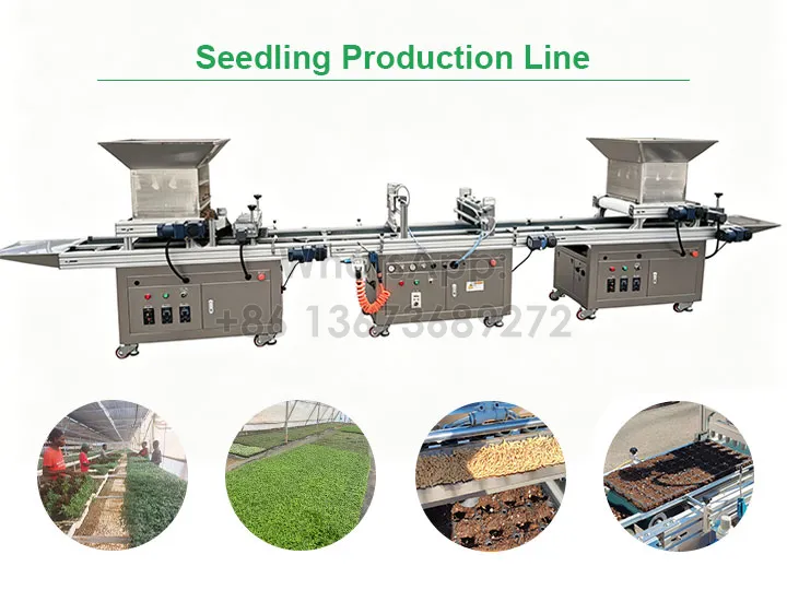 seedling production line for nursery