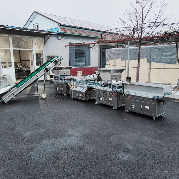 Taizy vegetable greenhouse needle seeder