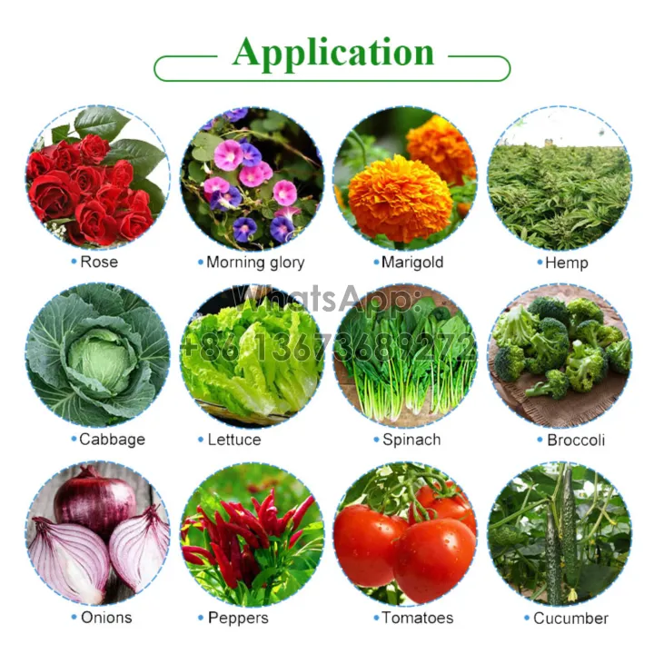 applications of greenhouse tray needle seeder
