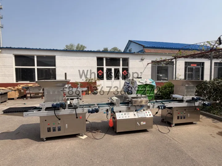 automatic nursery drum seeder machine for sale