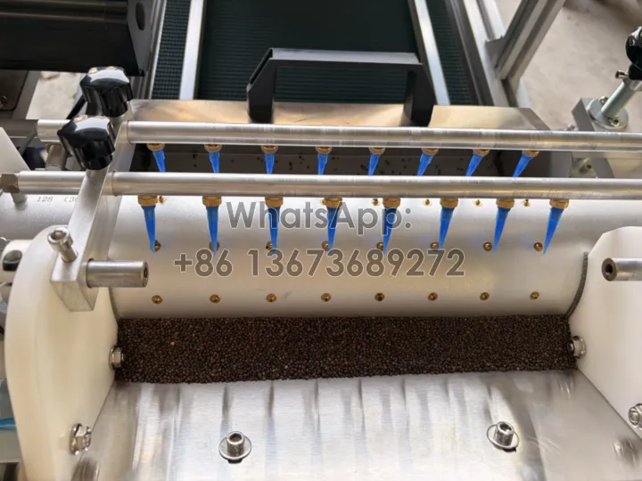 drum-type nursery seed sowing