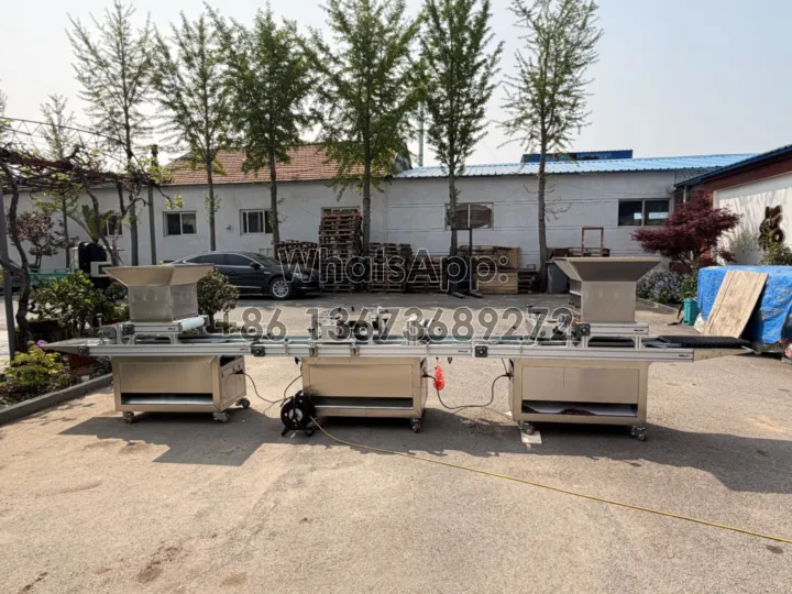 nursery drum seeder machine