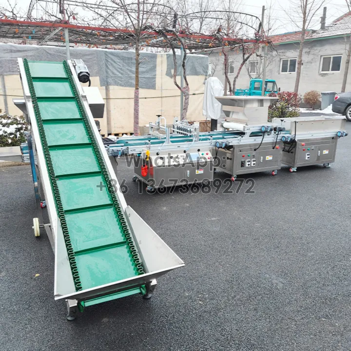 plug seeding machine with soil conveyor and watering