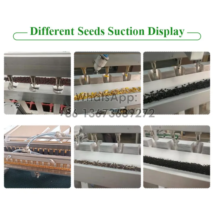 seeds suction display