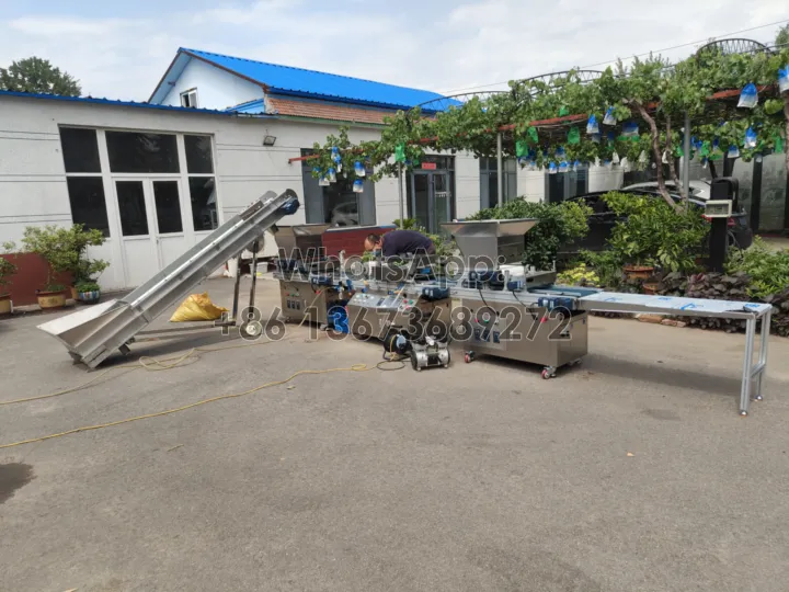 fully automatic PLC nursery seedling machine